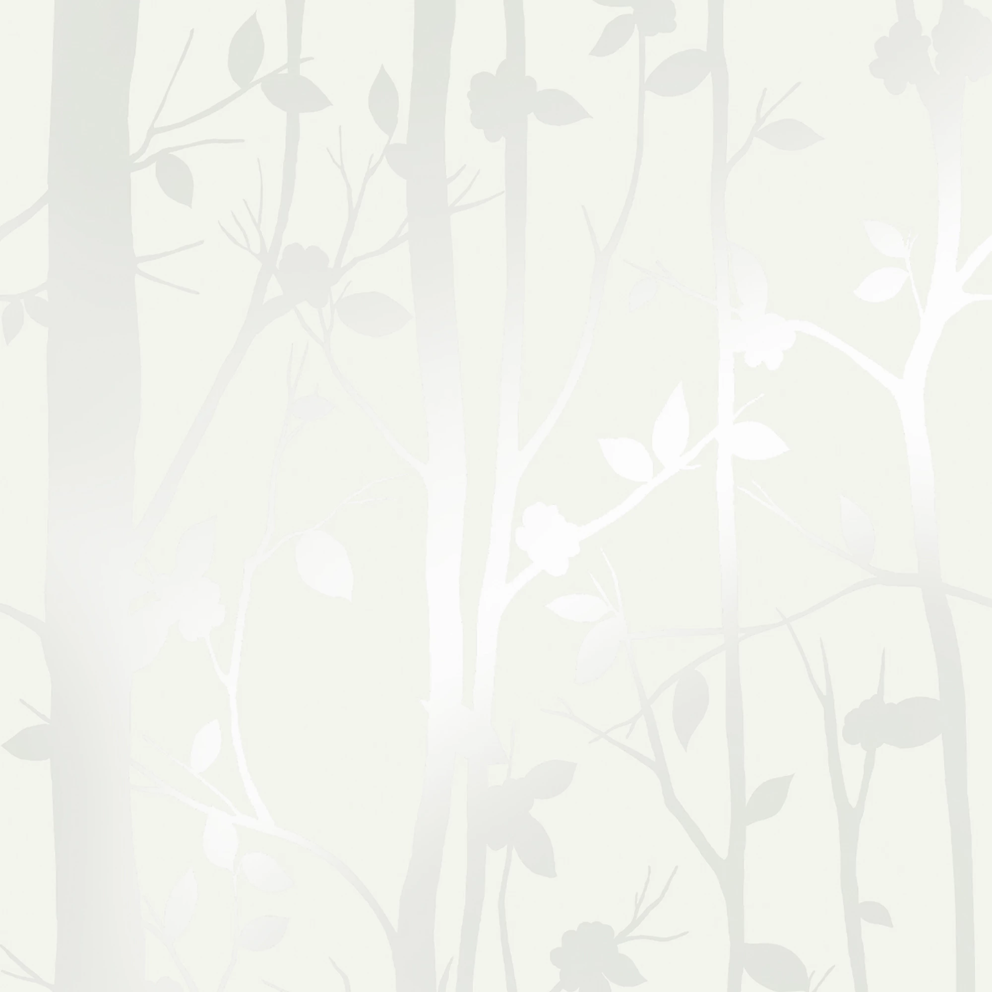 Laura Ashley Cottonwood Pearlescent White Trail Smooth Wallpaper 1 Laura Ashley Cottonwood Pearlescent White Trail Smooth Wallpaper