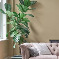 Laura Ashley Pale Gold Eggshell Emulsion Paint, 750ml 8 Laura Ashley Pale Gold Eggshell Emulsion Paint, 750ml -Laura Ashley Sales Store laura ashley pale gold eggshell emulsion paint 750ml5011583473506 02i bq