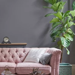 Laura Ashley Pale Iris Matt Emulsion Paint, 5L -Laura Ashley Sales Store laura ashley pale iris matt emulsion paint 5l5011583473384 01i bq