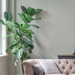 Laura Ashley Pale Sage Leaf Matt Emulsion Paint, 5L -Laura Ashley Sales Store laura ashley pale sage leaf matt emulsion paint 5l5011583473117 01i bq