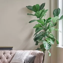 Laura Ashley Soft Natural Matt Emulsion Paint, 2.5L 8 Laura Ashley Soft Natural Matt Emulsion Paint, 2.5L -Laura Ashley Sales Store laura ashley soft natural matt emulsion paint 2 5l5011583472141 02i bq